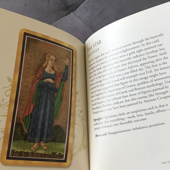 Lot of 7 Tarot & Oracle Guidebooks - Picture 8 of 14